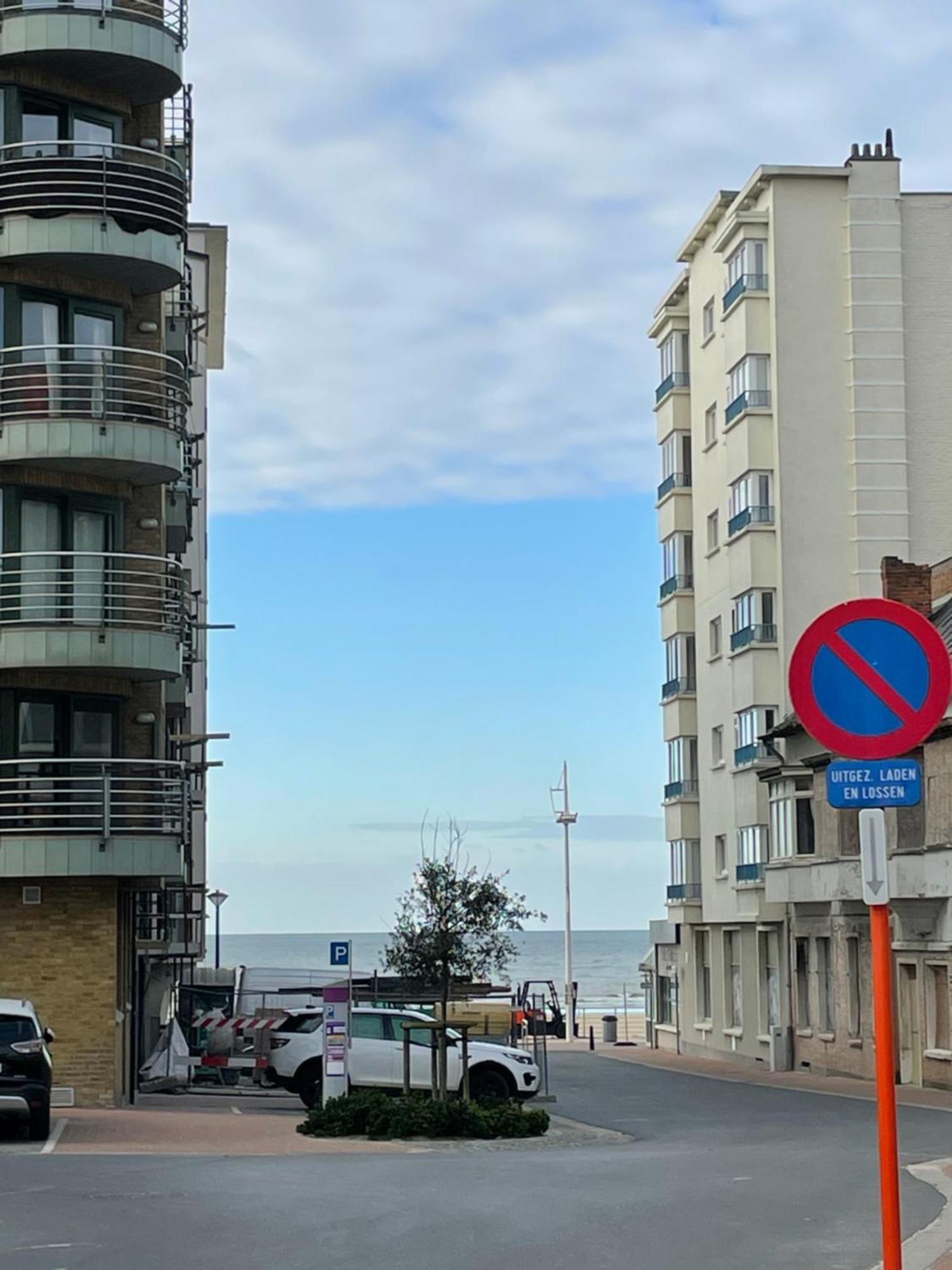 Zonnige Studio Mermoz Koksijde-Bad Dış mekan fotoğraf